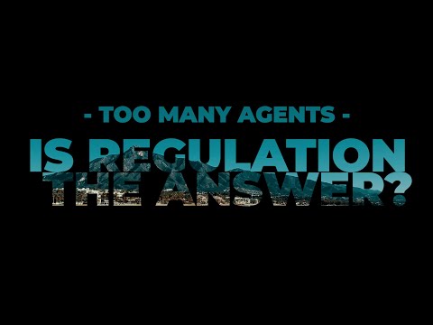 Too Many Agents in Marbella: Is Regulation the Answer? Deep Dive with Sean Woolley