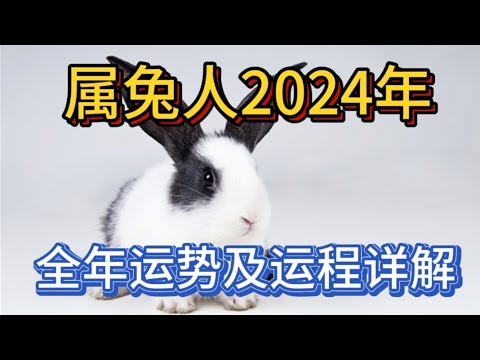 属兔人2024年全年运势及运程详解