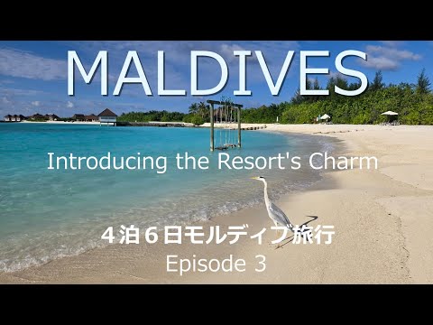 2024 MALDIVES モルディブ Episode3 海外旅行初心者夫婦がモルディブ旅行