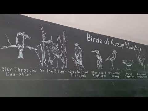 A day in Nature- Kranji Marshes - Walking Tour