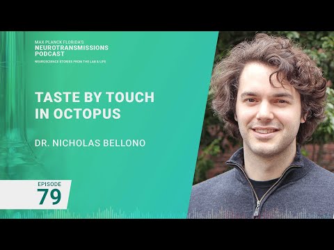 [Audio Only] Podcast Ep. 79 -  Taste By Touch | Nicholas Bellono