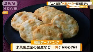 米菓メーカー倒産・廃業11件　過去最多ペース　価格高騰と需要低迷が要因【知っておきたい！】【グッド！モーニング】(2024年10月7日)