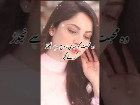 new#trending #viral #urdusadpoetry# Bast urdu shayri|Deep_ line