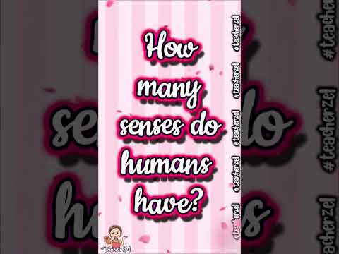 How many senses do humans have? #teacherzel #questions #knowledge #generalknowledge #teacherzel2024