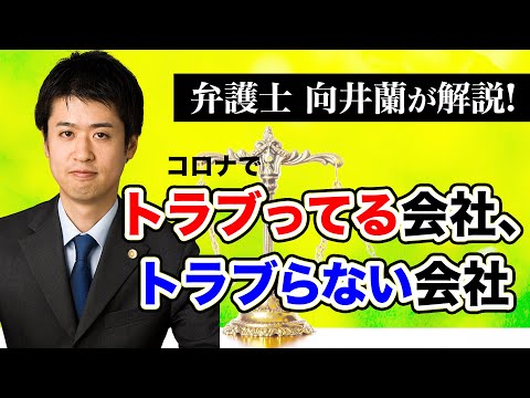 今もめてる会社、もめていない会社《向井蘭》