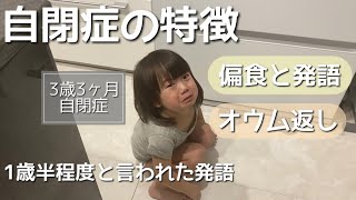 【自閉症の特徴】３歳３ヶ月の息子をまとめてみました。【自閉症がわかるまで】