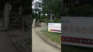 日本一周　11  平泉　中尊寺　金色堂