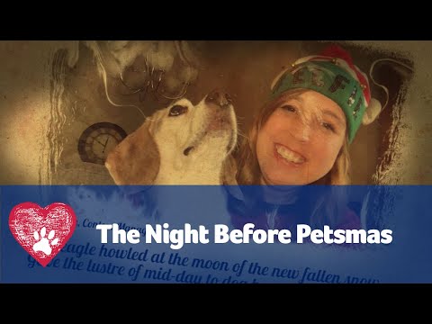 Twas the Night Before Petsmas