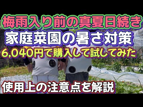 【夏の家庭菜園や外での作業】ご存知ファン付きベストを購入して実際に使ってみた。これ最高