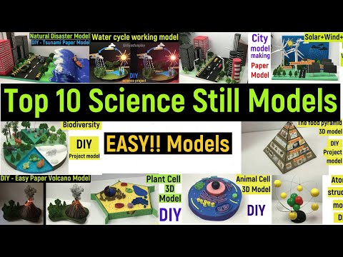 top 10 science projects - still models - best science projects - #diyasfunplay