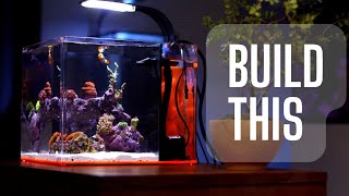 How to Set up a Saltwater Aquarium!