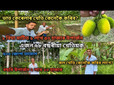 ভাত কেৰেলাৰ খেতি কেনেকৈ কৰিব?১ বিঘা মাটিত ১ লাখ ৫০ হাজাৰ উপাৰ্জন|Vat Kerala Kheti|Kerala Kheti