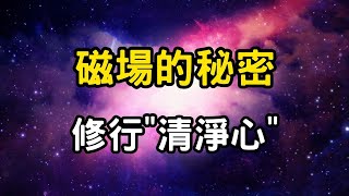 磁場的秘密：修行"清淨心"！夜深修行的智慧法門。「無住生心」與吸引力法則的深刻聯繫 #開悟 #覺醒 #靈性成長