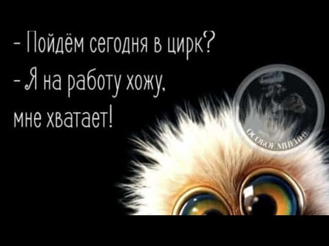 Я счастлива как никто. Хейторы ! КАК реагировать на негатив