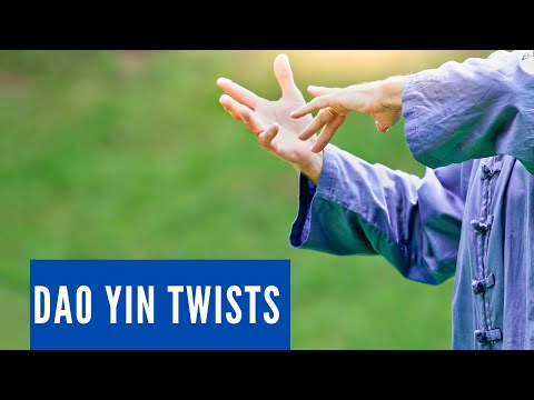 Dao Yin Twists