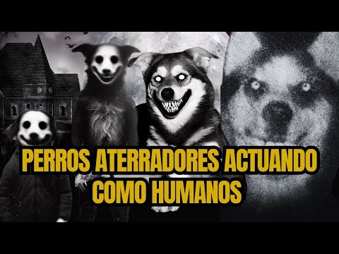 ¡PERROS Y GATOS PARANORMALES! | Actúan como Humanos de Forma Aterradora