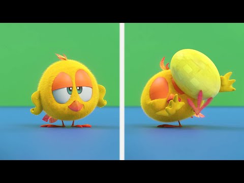 Watch out Chicky! | Where's Chicky? | Cartoon Collection in English for Kids | New episodes HD