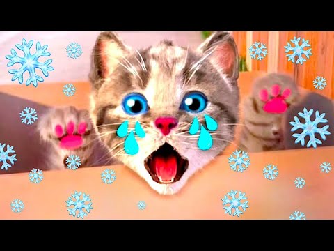 Animated Little Kitten Cute Kitty Cat Meow Story | Little Cat Cartoon Animation for Kids 🐱🧶