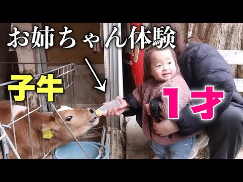 【休日密着】初めてのミルクやりに大興奮の１歳児が可愛すぎたw