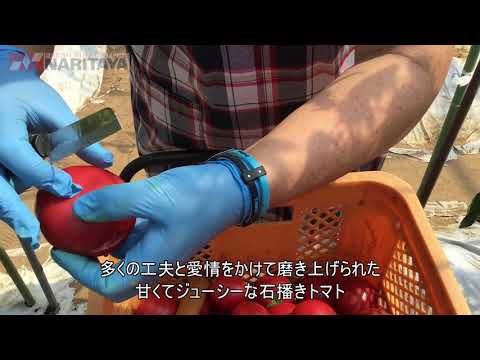 ナリタヤやさい 千葉県旭市・関根悦子さんのトマト