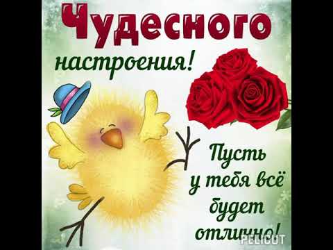 Прекрасного настроения! #позитив #хорошеенастроение #открытка #добрыйдень #осень.