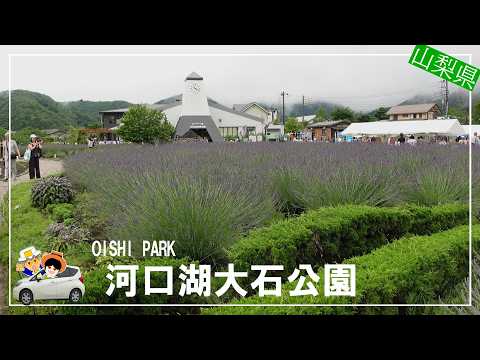 【河口湖大石公園】の花街道を訪ねて。