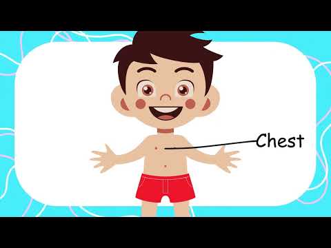 Body Parts Name | Body Parts Name in English | Human Body Parts Name for Kids | English Learning |