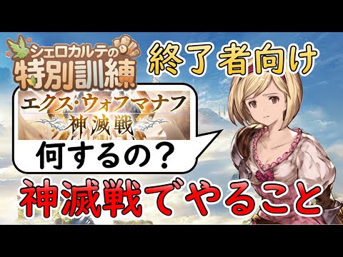 ［グラブル］特別訓練終了者向け神滅戦でやること［風有利］