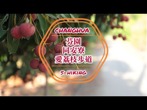 S步道｜彰化｜同安寮愛荔枝步道｜芬芳花香水果綠野｜芬園鄉