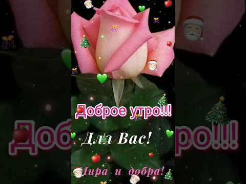 🌺•ДОБРОЕ УТРО❤️• ДЛЯ ВАС МУЗЫКА 🎶 ЛЬНАЯ ОТКРЫТКА •#shorts