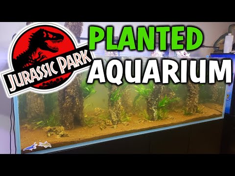 JURASSIC PARK Themed Underwater AMAZON RAINFOREST Planted Aquarium Setup!