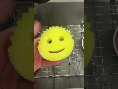 This Lemon Fresh Scent Scrub Daddy Sponge is AMAZING!