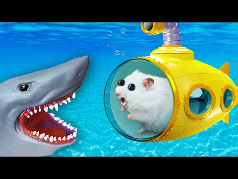 Hamster in a Yellow Submarine vs Shark Underwater!