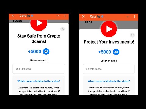 Stay Safe from Crypto Scams! Cats Code | Protect Your Investments cats video code today