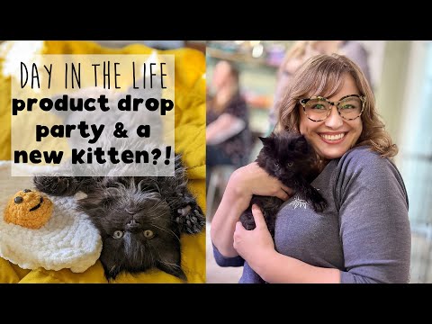 Took a Kitten Home from our Drop Party!! | Day in the Life of a Small Business Owner in a Large City