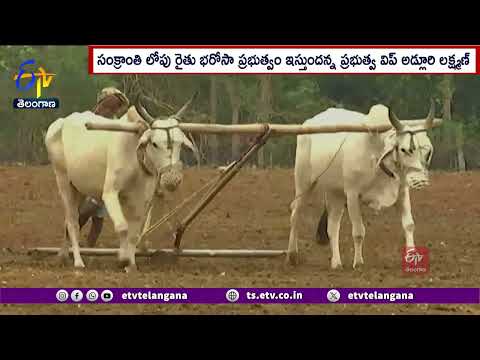 Rythu Bharosa Before Sankranti | సంక్రాంతిలోపు రైతు భరోసా : ప్రభుత్వ విప్ అడ్లూరి లక్ష్మణ్