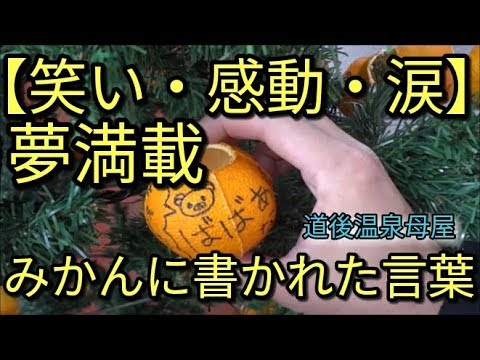 道後【笑い・感動・涙あり】🍊みかんに書かれた思いとは？愛媛スペシャルシリーズ☆