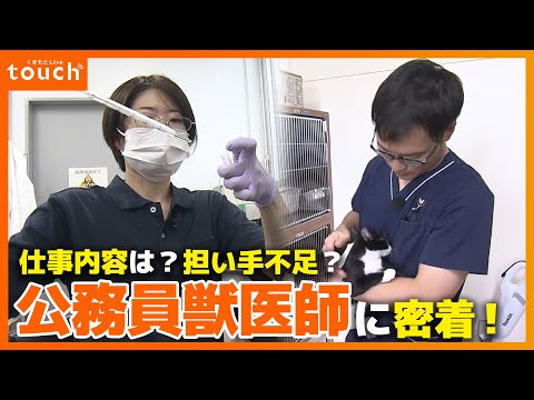 【密着】公務員獣医師 仕事内容は？なぜ担い手不足？