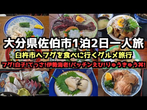 【大分グルメ旅行】大分県佐伯市1泊2日一人旅 #大分旅行 #河豚