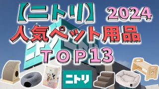 【ニトリ】2024人気ペット用品ＴＯＰ13