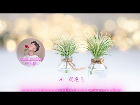 【LoveU goodbye 】李天赐 (Jae Li) - 最新悲伤情歌 高音质LRC歌词 |  New Chinese Songs in November 2021