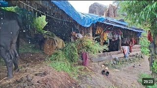 most relaxation rainy day nepali village || Walking tour in village || primitive rural village.