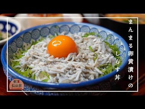 【黄身漬けしらす丼】新食感！ねっとり濃厚冷凍卵＊出汁醤油染みる卵黄 #卵 #レシピ #丼