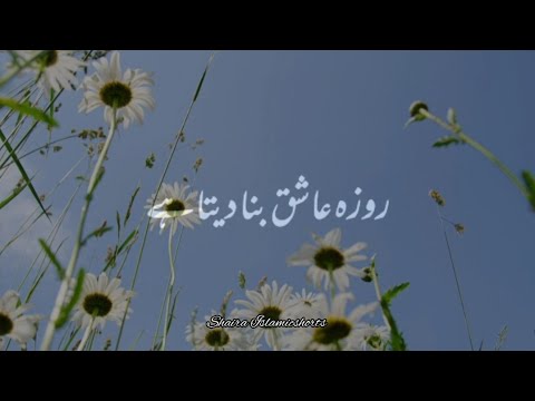 Roza Ashiq Bana Dete Hai 🥀 | Islamic WhatsApp Status|