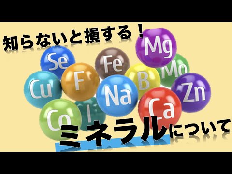 主食やおかずからは摂りづらい！？ミネラルの摂取ポイント！