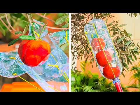 Gardening Hacks and Plastic Bottle Craft Ideas for Plants 🌱