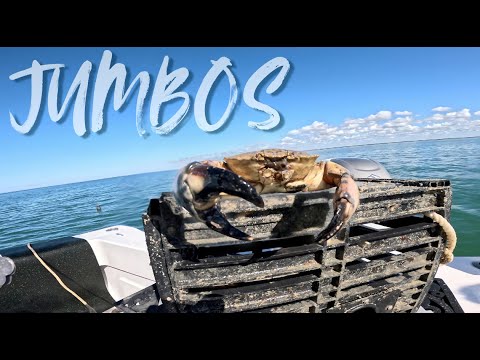 $750 OF STONE CRABS IN 9 TRAPS!!! EPIC FISHING | CATCH CLEAN COOK