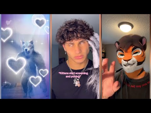 Cringe TikToks That Hurt to Watch #3 - Alpha Wolf Cringe