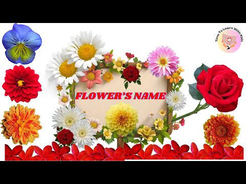 Flowers Name | Flowers Name in english | Flower | Learn Flowers Name with Pictures & Videos |