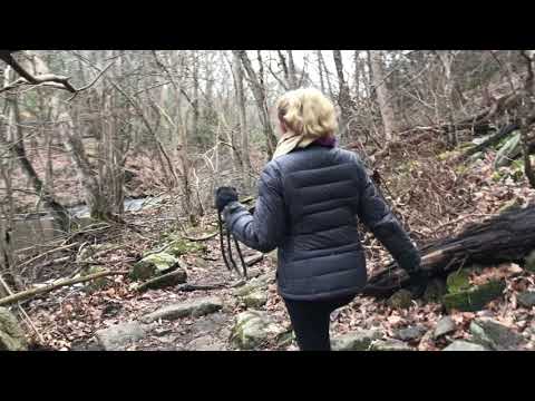 Black River Hiking with Our German Shepherd Hiking Video Series Reached our endpoint from last Ep152